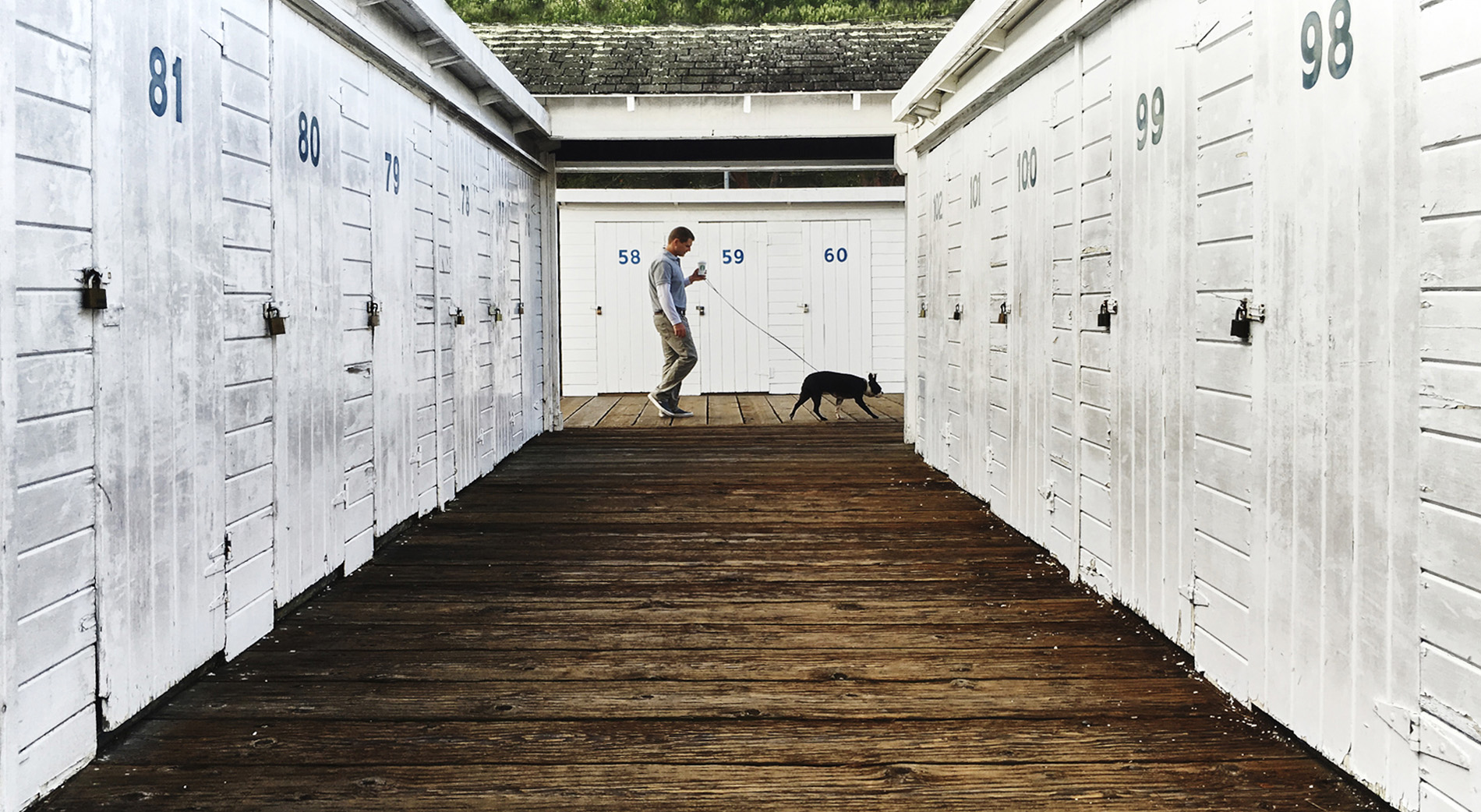 DOCK_DOG_WIDE SAVES FOR WEB QUALITY